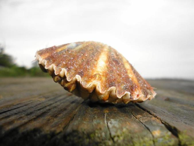 418245_923426778683_2040150944_n