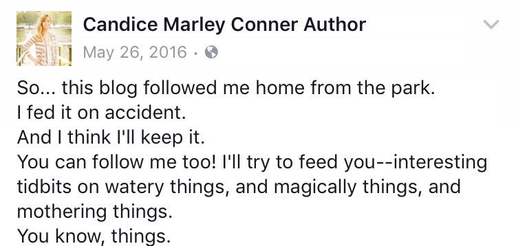 1st blog post announcement